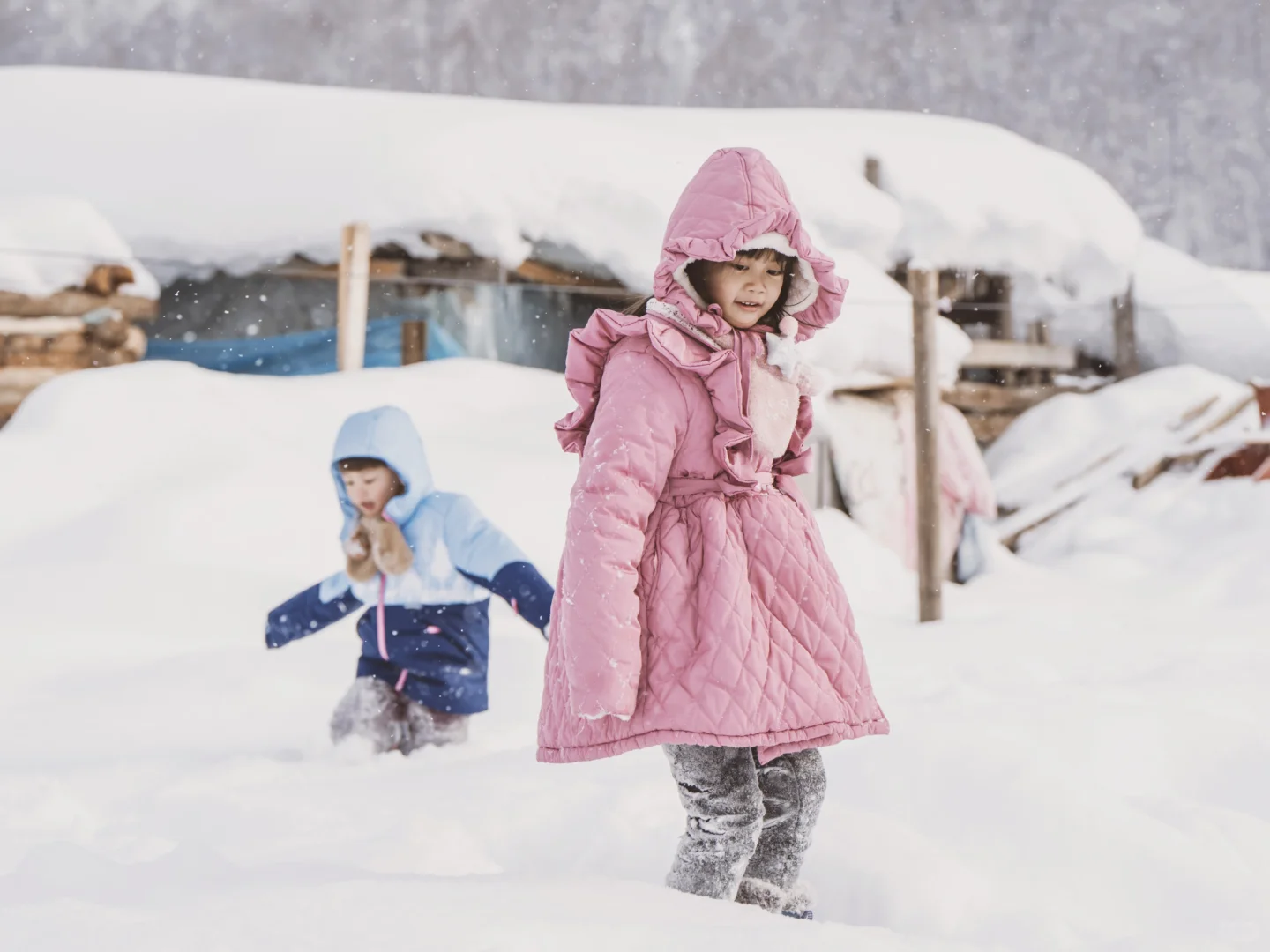 禾木，下雪天❄️