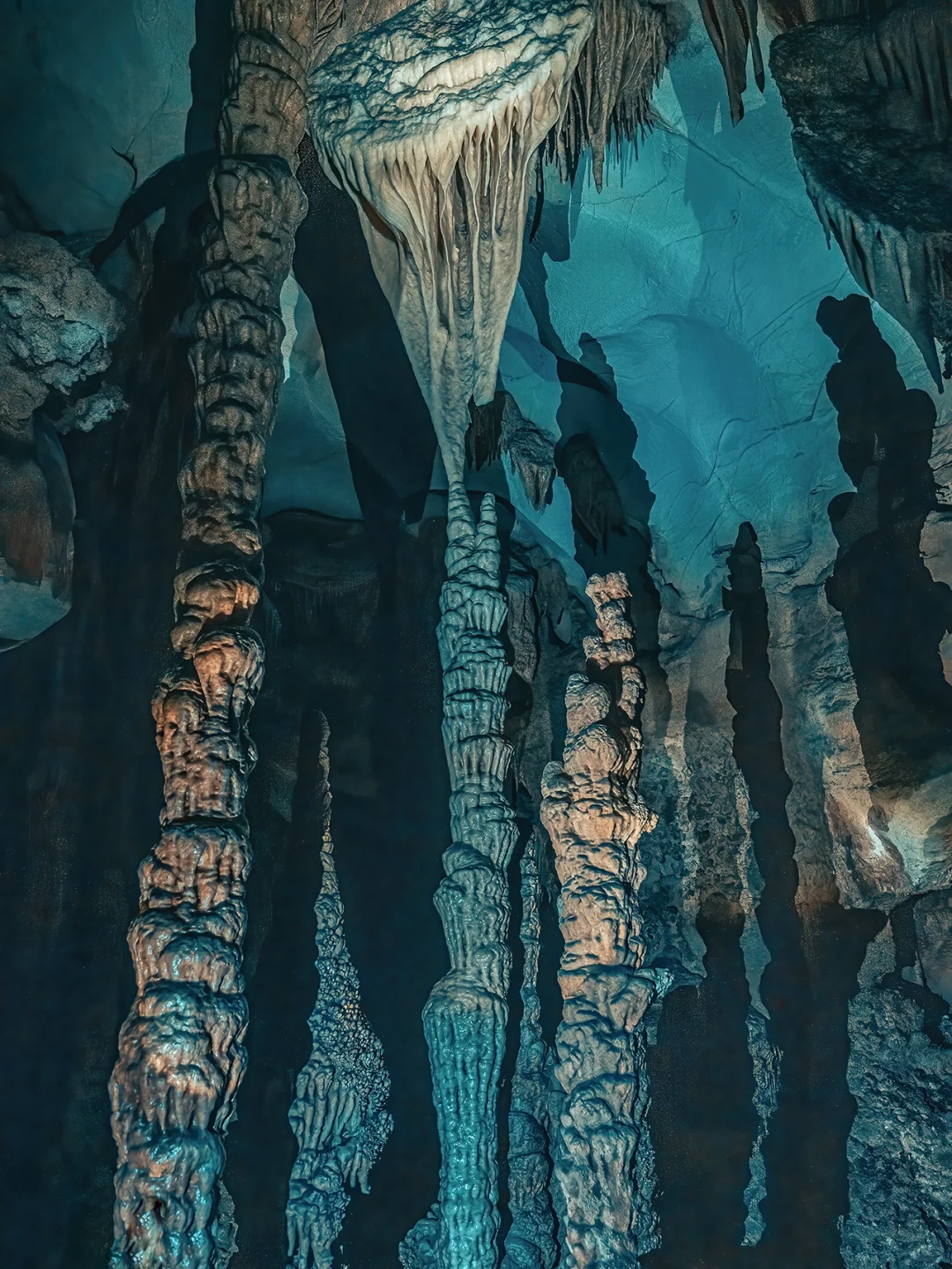 太绝了!寻到了洞中的侏罗纪|穿越时空