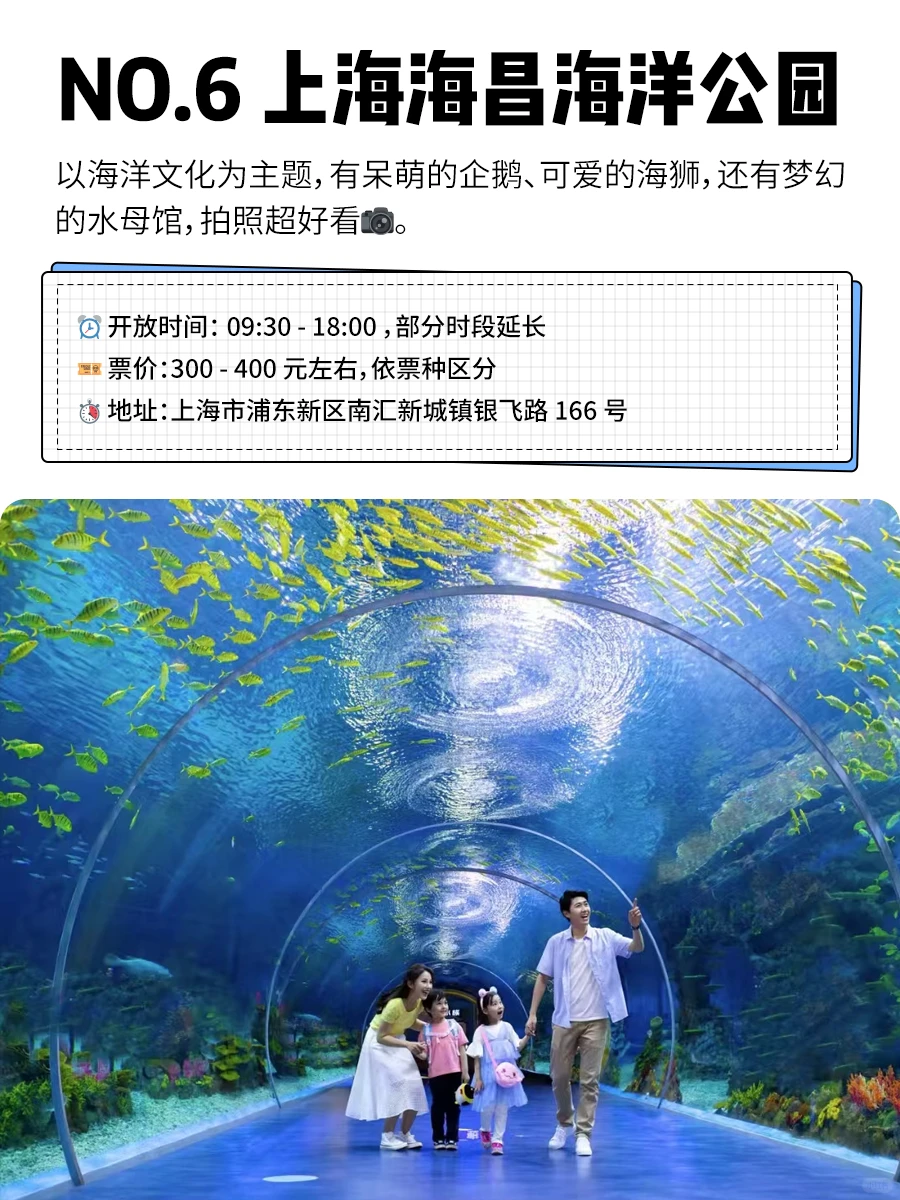 年终总结🎉2024国内必打卡的15大主题公园💕