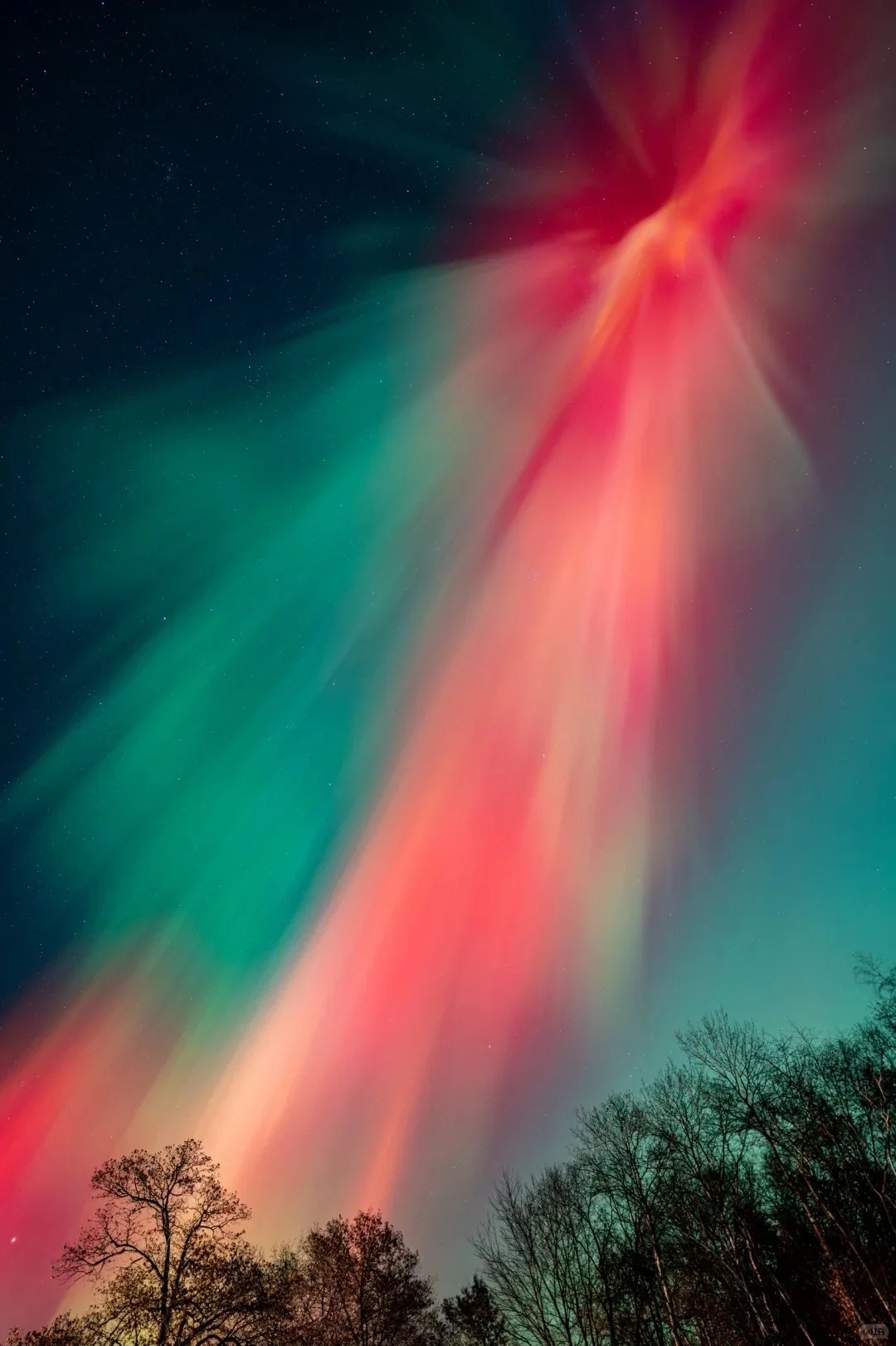 漠河📍比俄罗斯便宜3倍，被严重低估的极光地