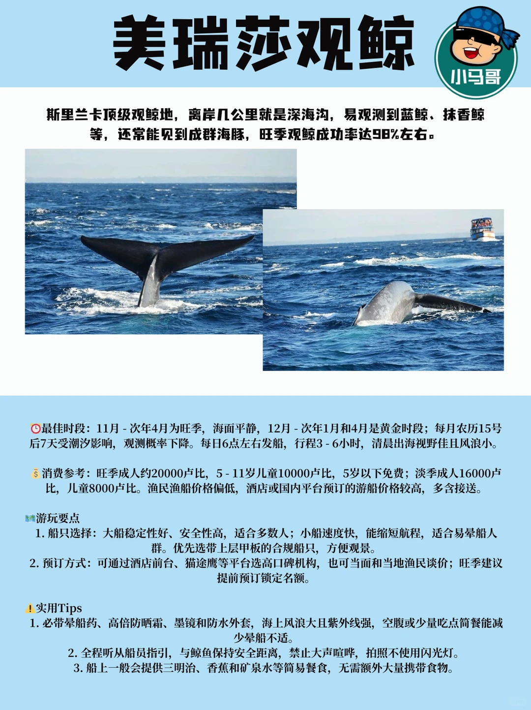 🇱🇰斯里兰卡必玩景点大全|一篇搞定无废话