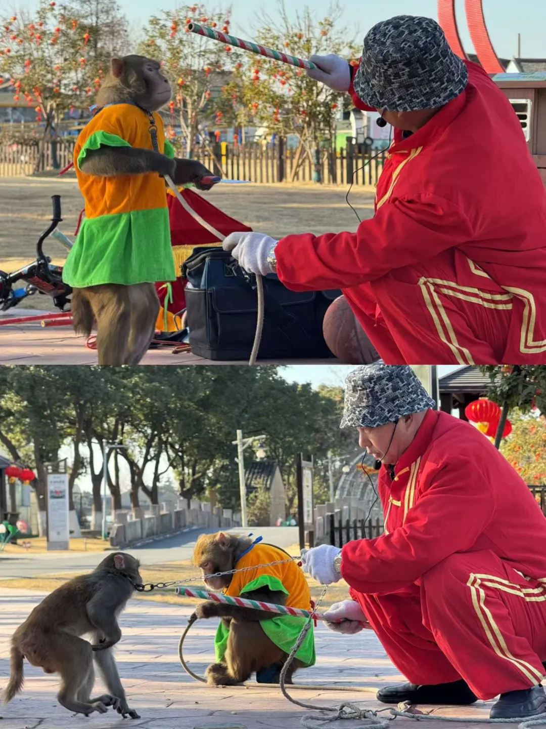 达人村马年年卡必冲 解锁整年游玩自由