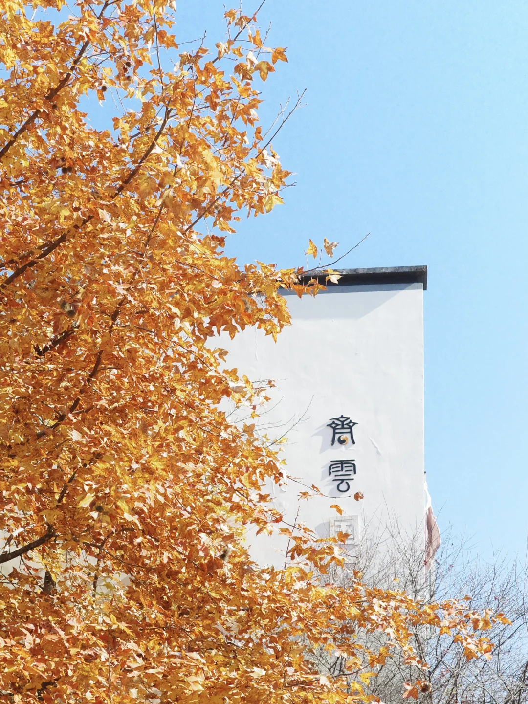 齐云山半日游|安徽人12月免门票真的不来吗