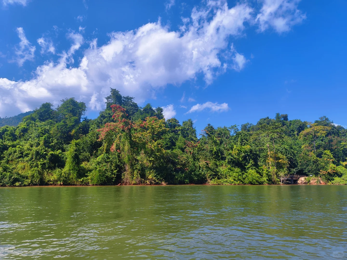 坐高铁去望天树景区
