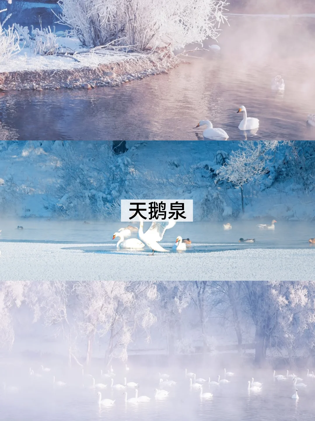 带娃玩冰雪别卷喀纳斯了!伊犁暖5℃人还少