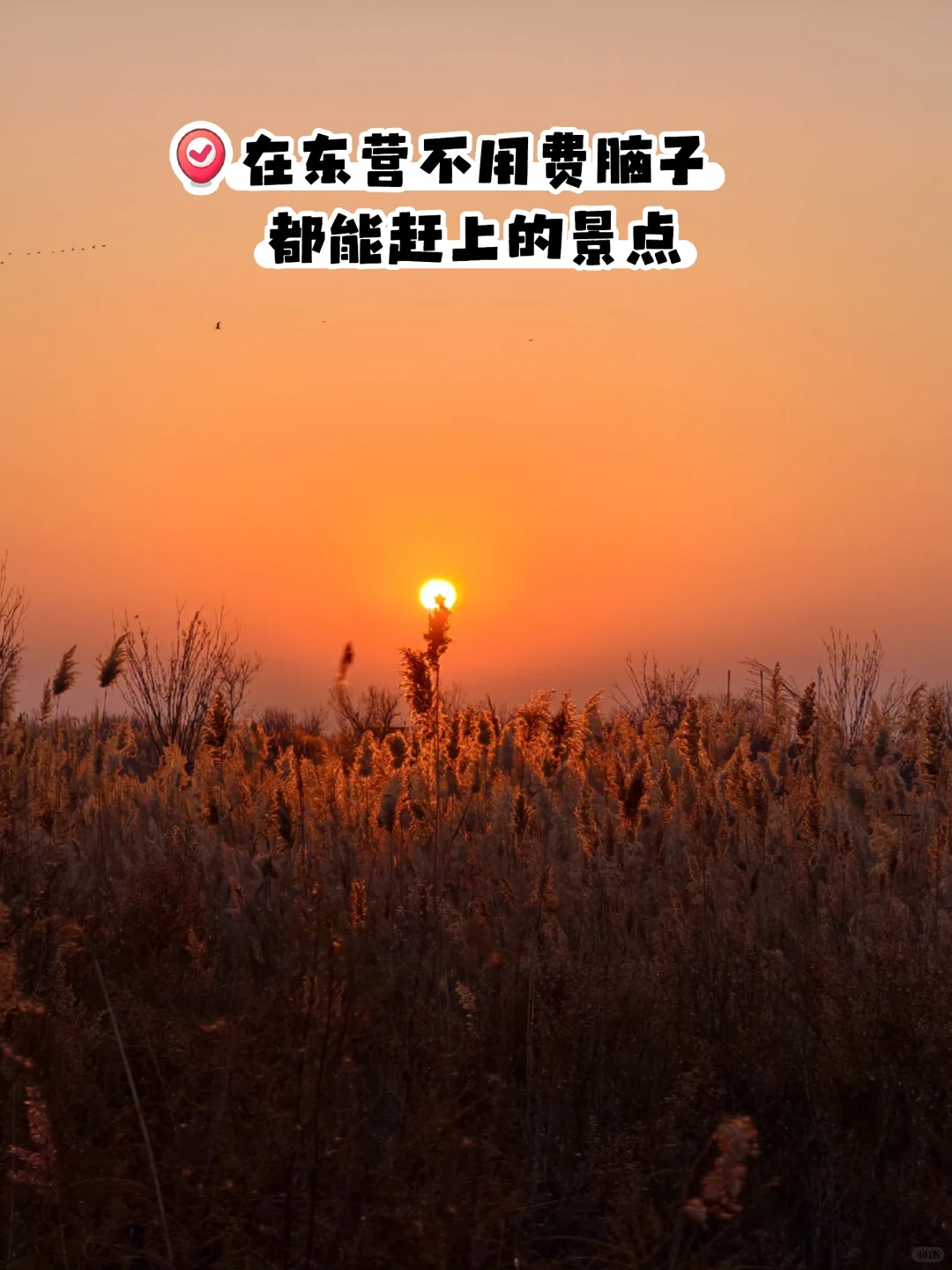 在黄河口景区能玩一整天