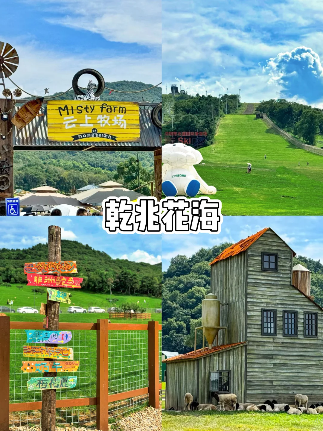 德州旅游,一定要去的9大景点