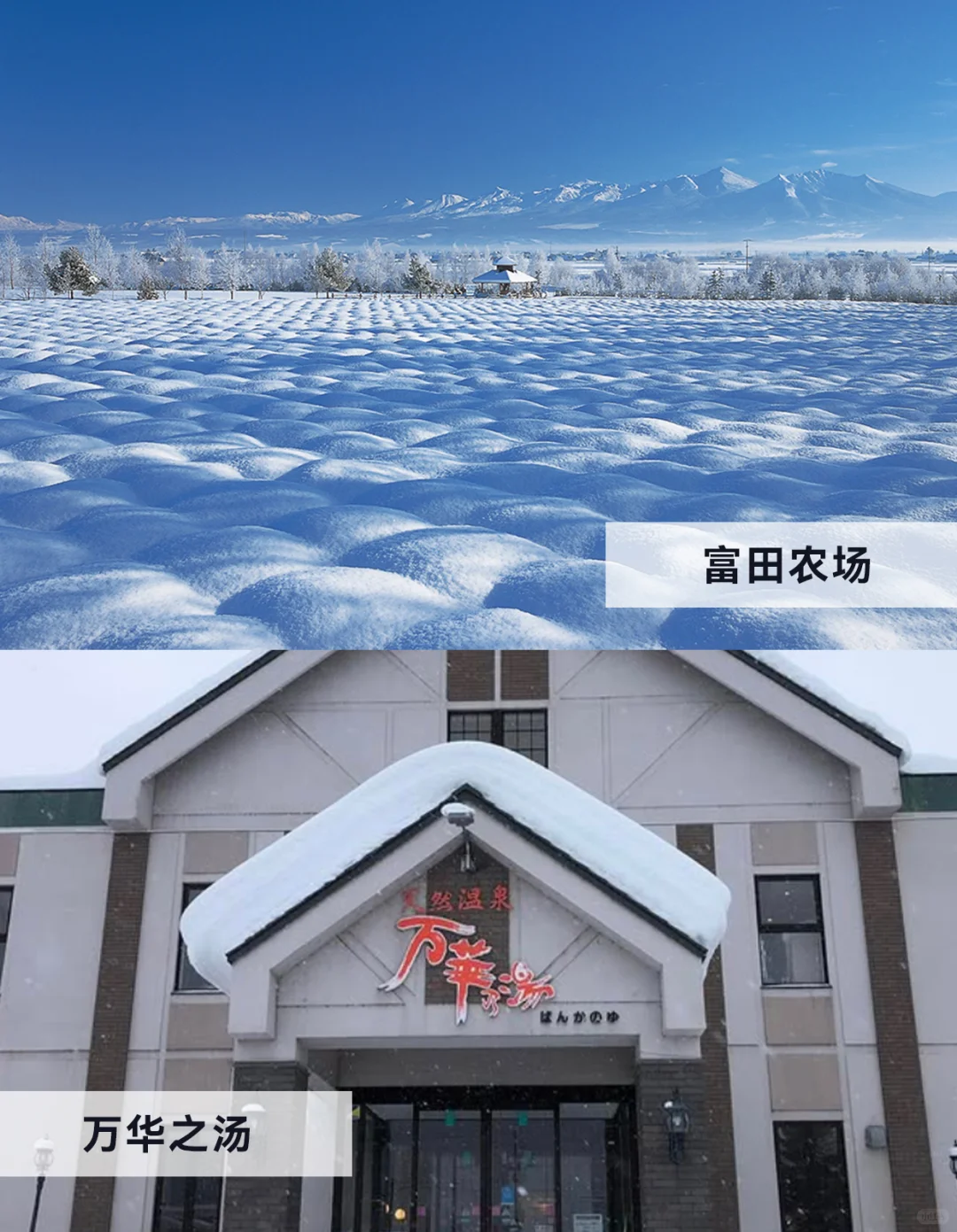 冬日富良野美瑛自由行必看|景点篇!