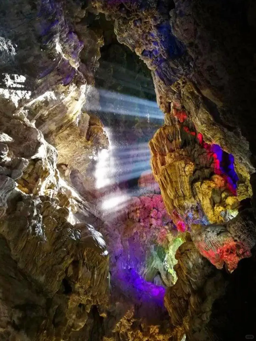 冬天带爸妈去哪？25°C崇左暖冬赢麻了🌿