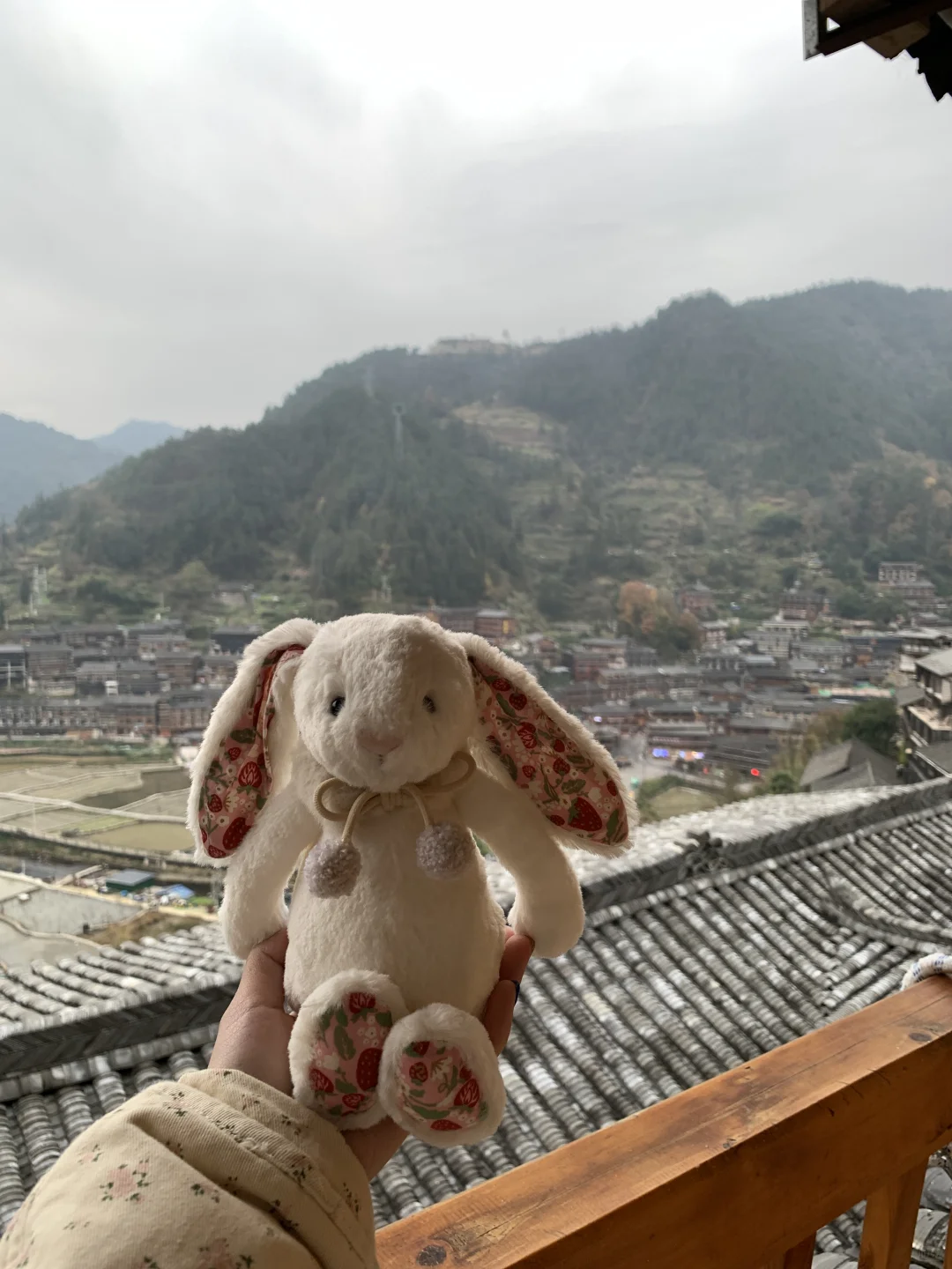 我将推荐全世界的人去贵州玩！