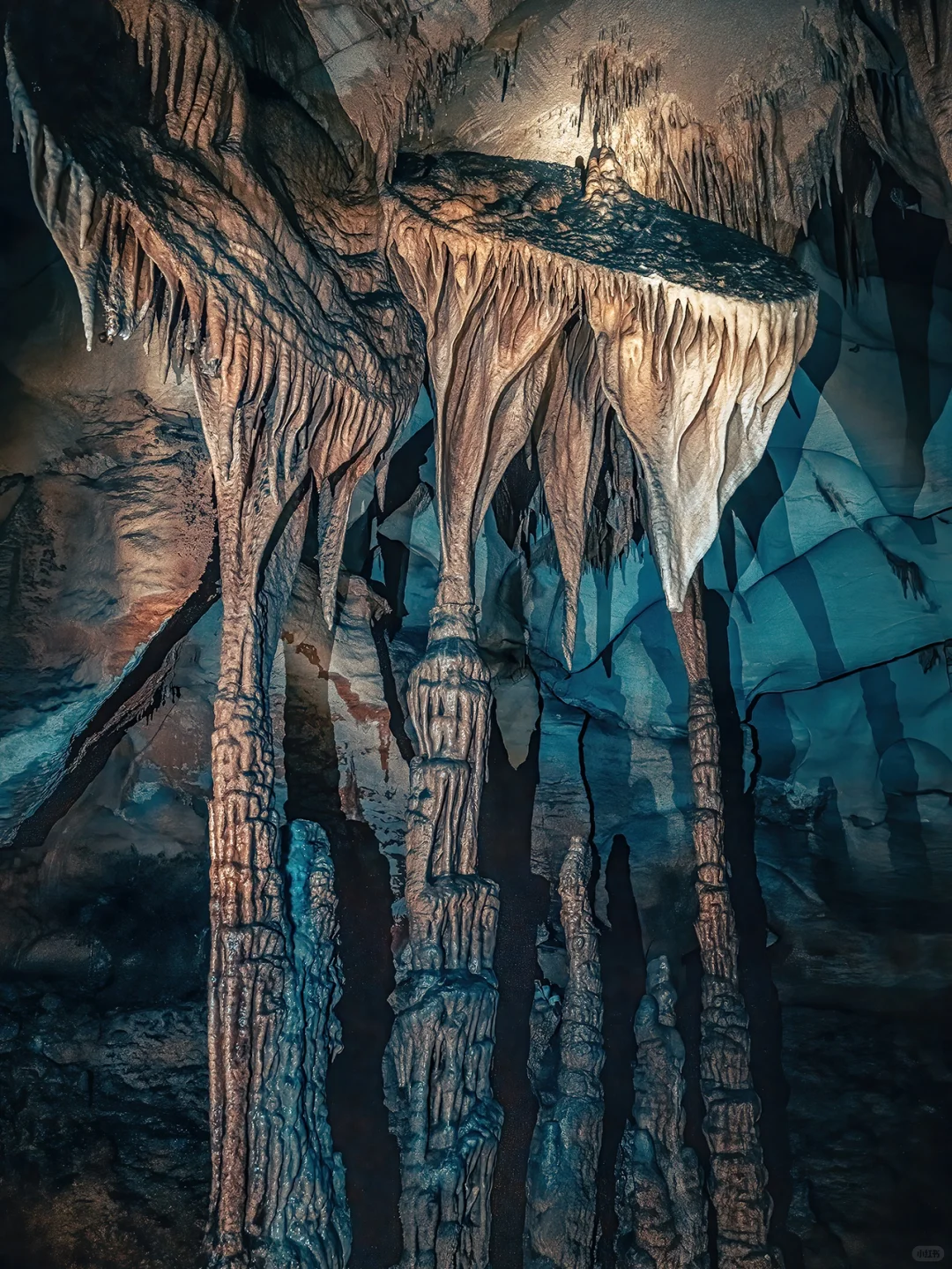 太绝了!寻到了洞中的侏罗纪|穿越时空
