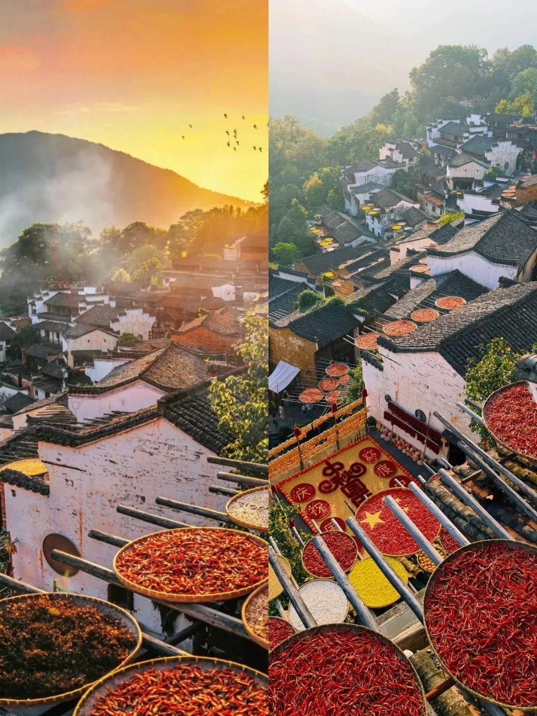 三天玩透婺源,超详细攻略速来🤩