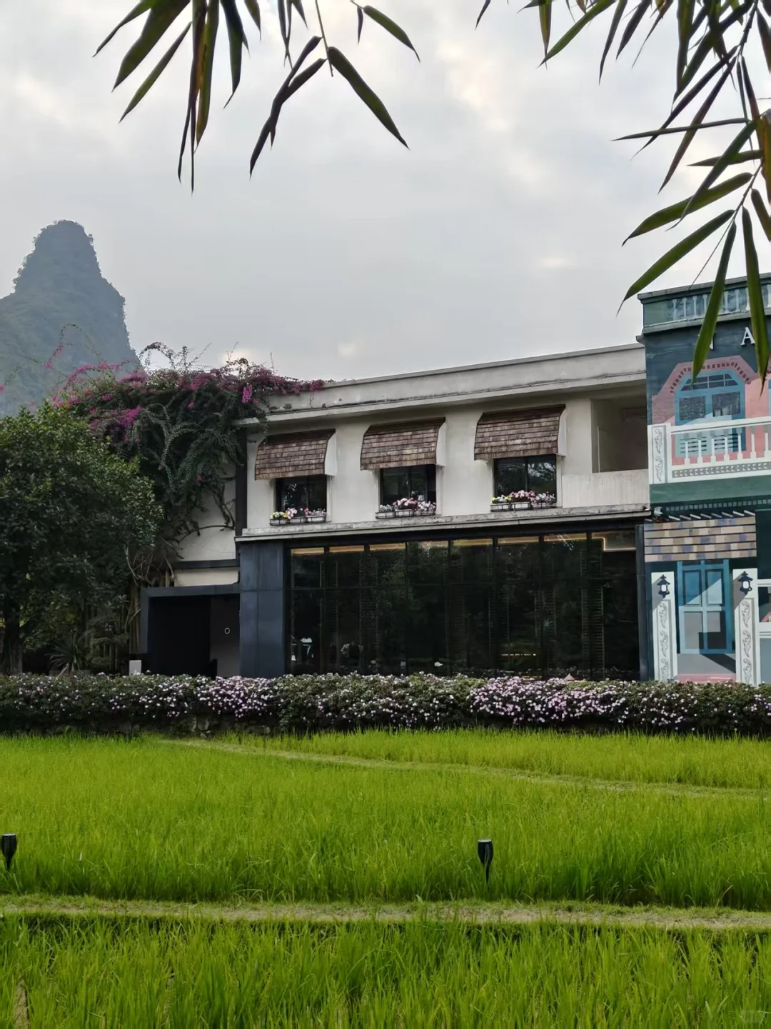 明仕田园景区12月6日现状