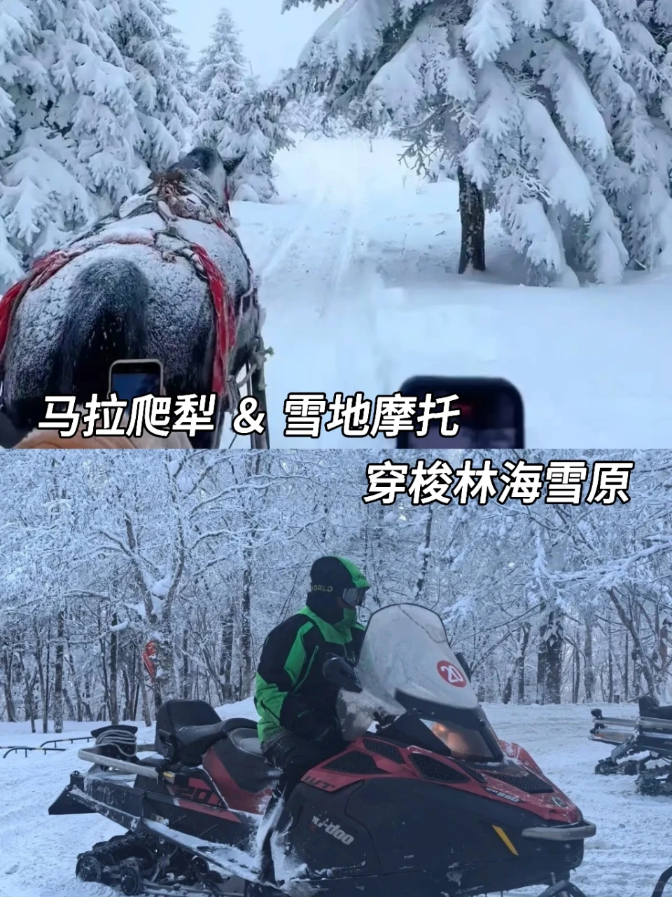 南方小土豆狂喜🧣来东北6天必玩攻略❄️