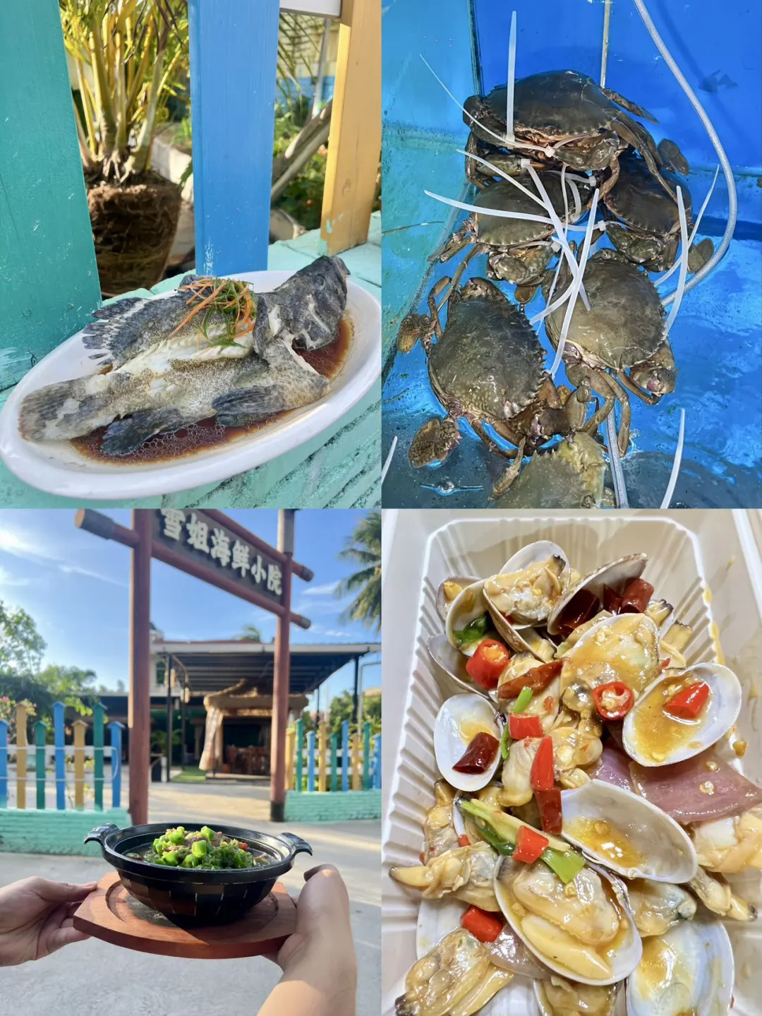 带爸妈游陵水｜2天1夜省心攻略