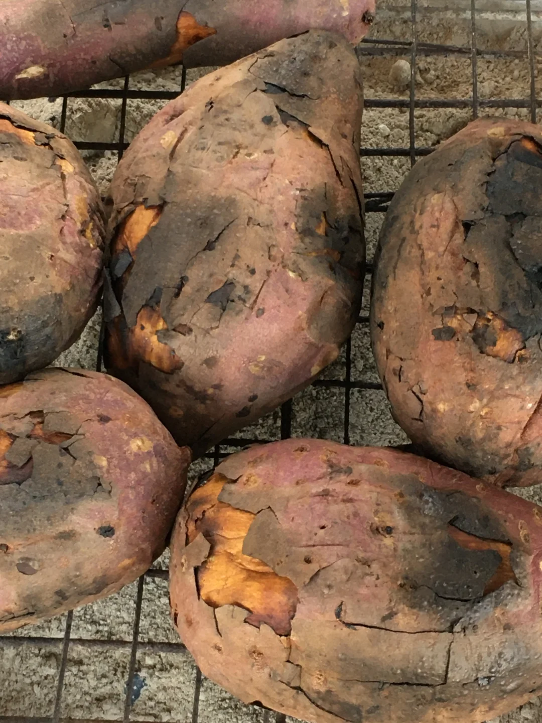 回村的快乐！！！