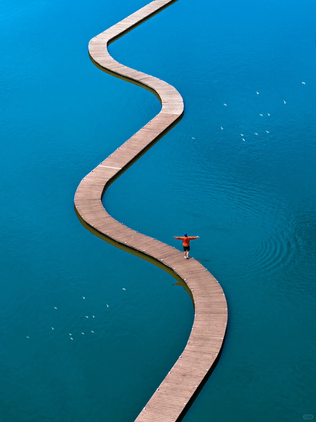 发朋友圈被问爆‼️真不是国外,在河北‼️