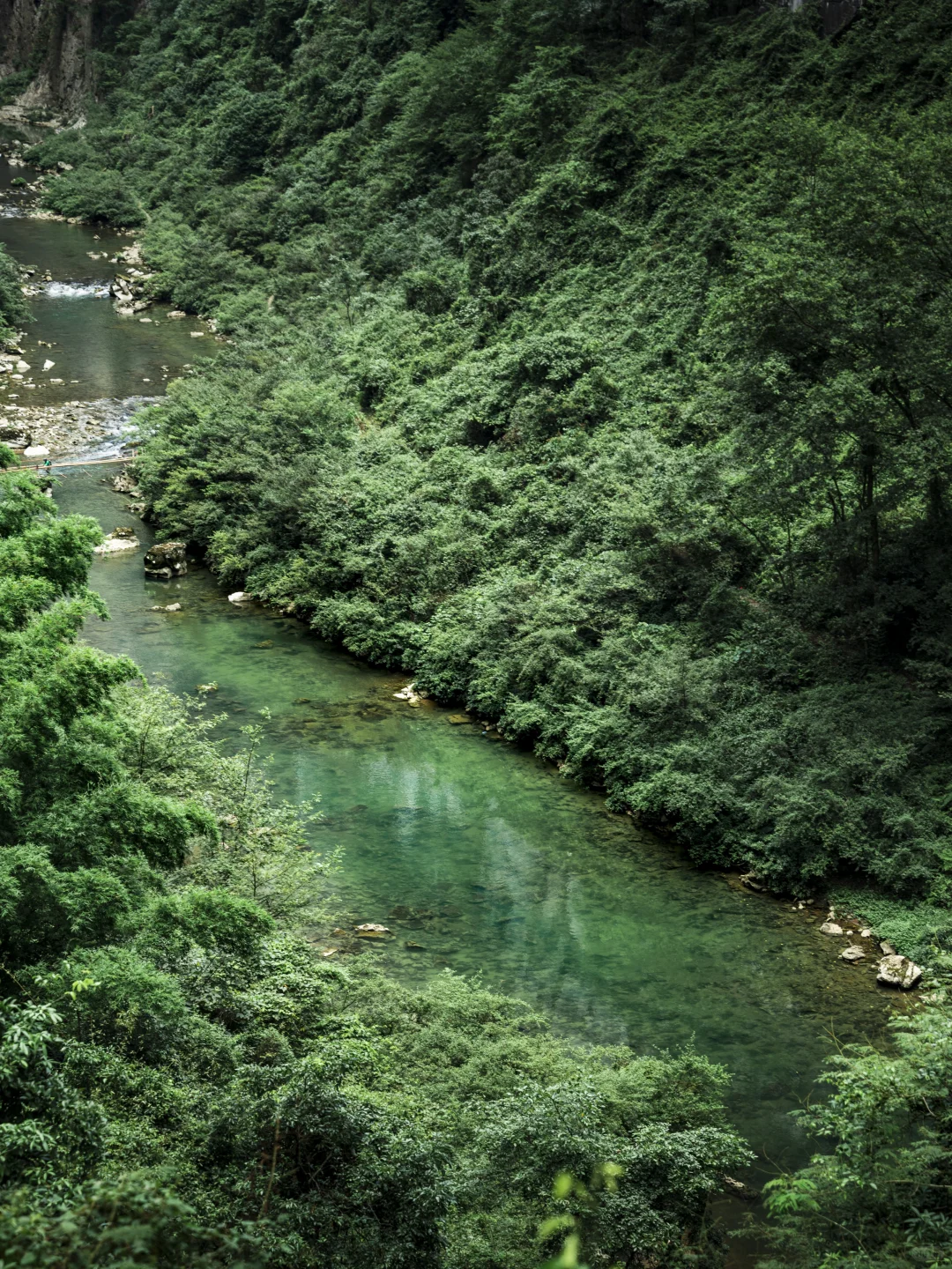 太绝了!寻到了洞中的侏罗纪|穿越时空