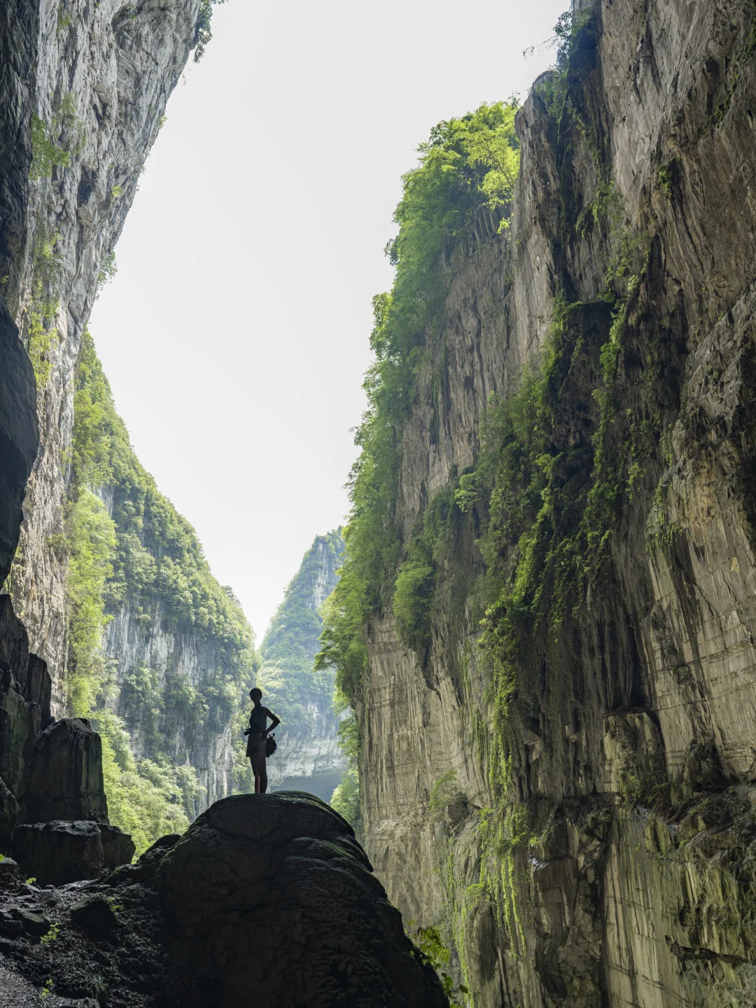 太绝了!寻到了洞中的侏罗纪|穿越时空