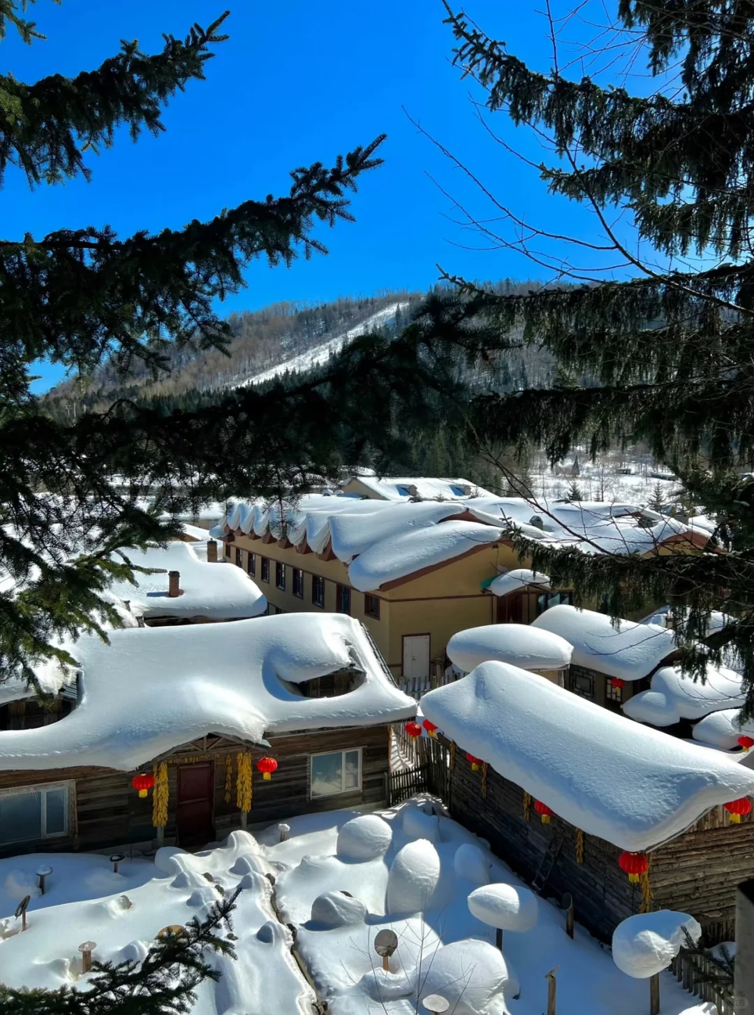 雪乡今天正式开园啦,这篇告诉你怎么玩!