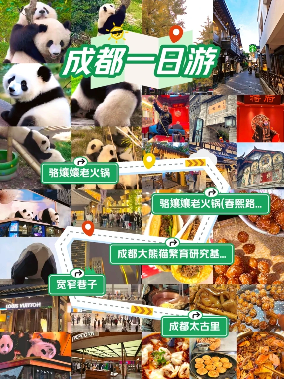 成都！熊猫➕火锅一日游全攻略