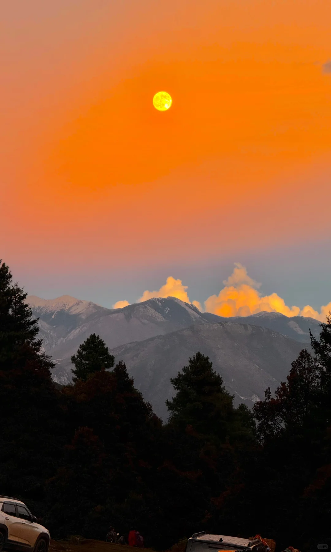 天🦆！！！这是到了天堂吗！！！📍附攻略