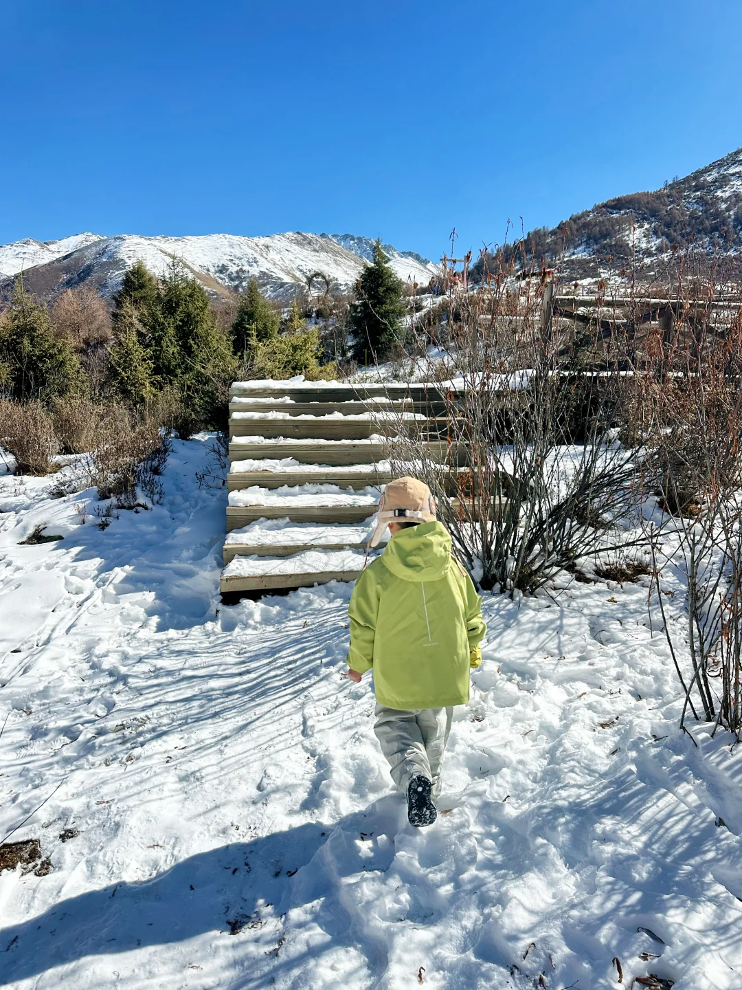 不挤尔滨!成都周边3h直达童话“小雪乡”☃️