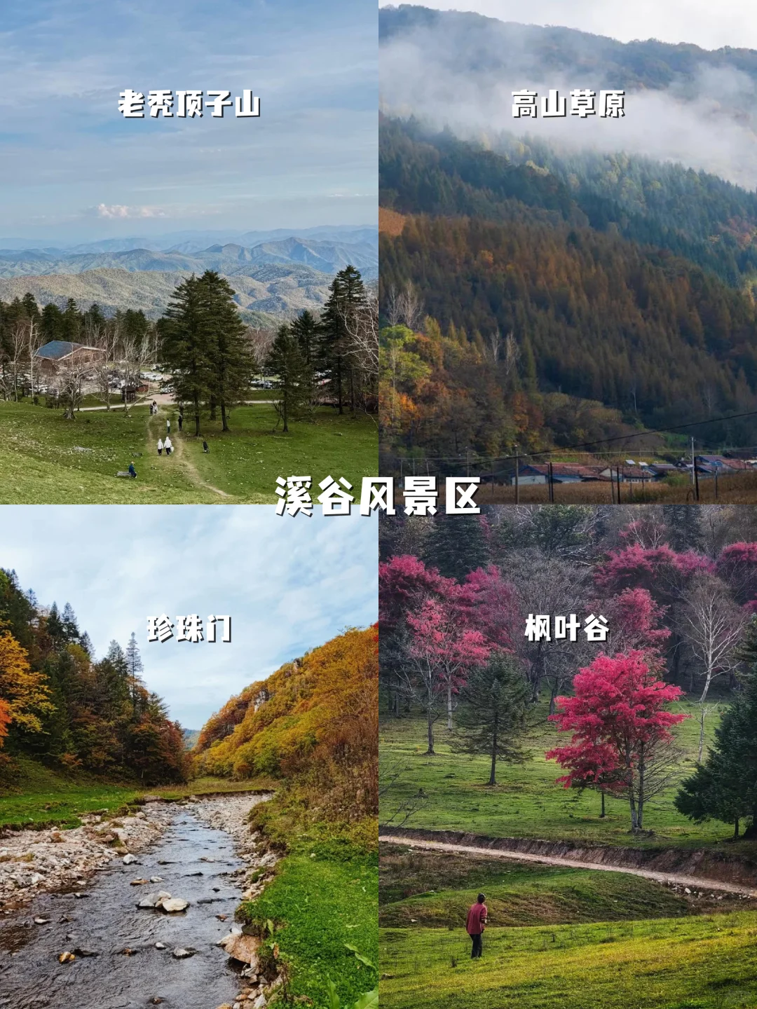 7日长白山环线自驾攻略，冬天这样玩太爽了