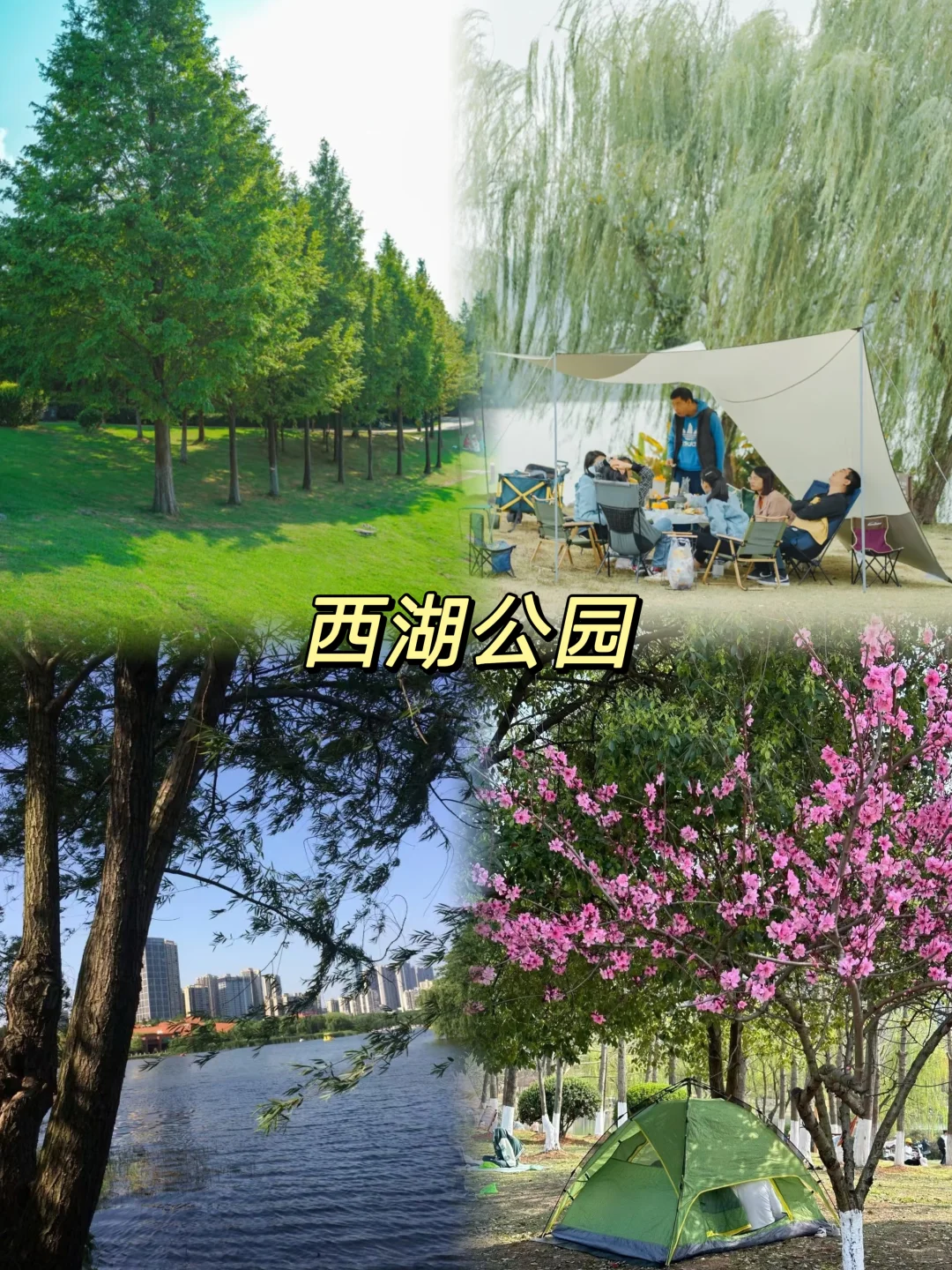 长沙9大宝藏地,会反复溜娃的9个地方✨