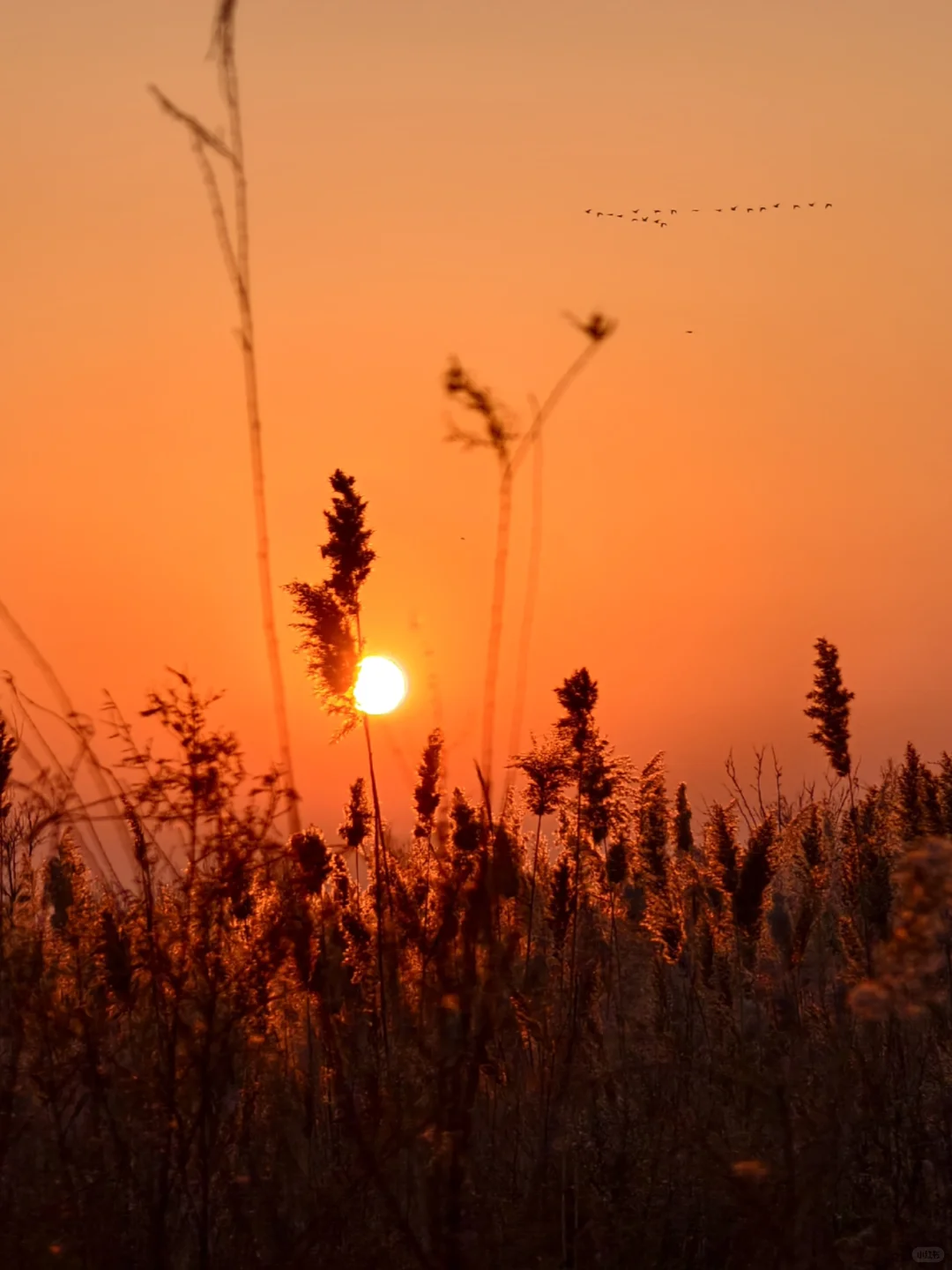 在黄河口景区能玩一整天