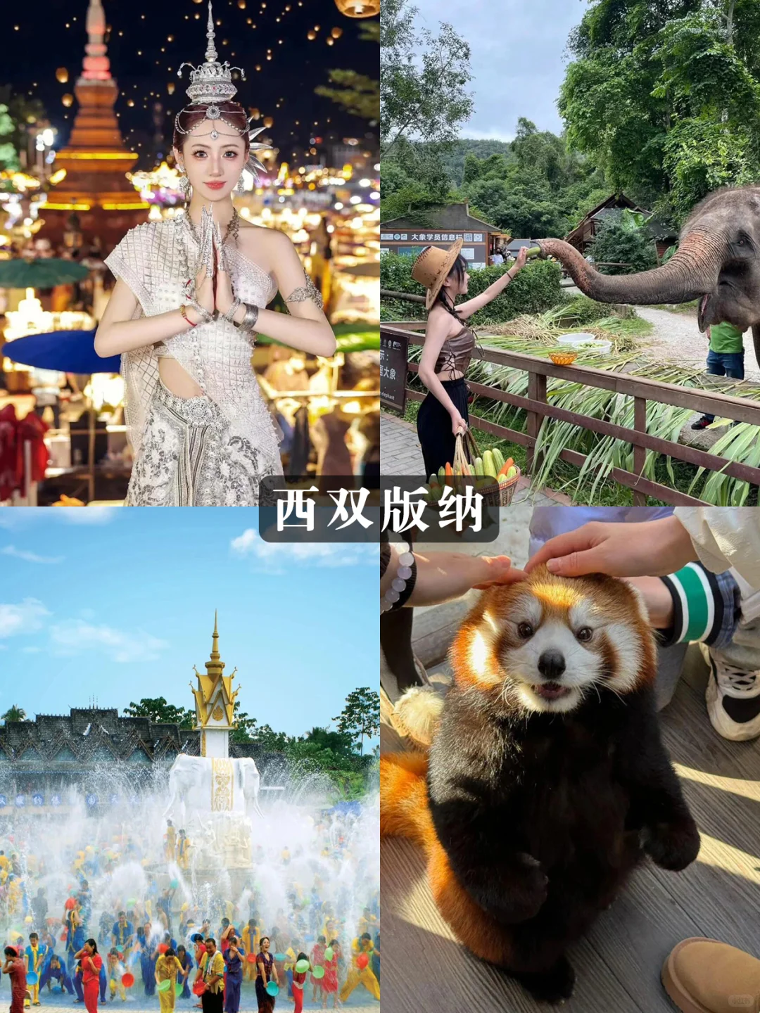 从风花雪月到热带雨林💰人均1k+玩到爽❗