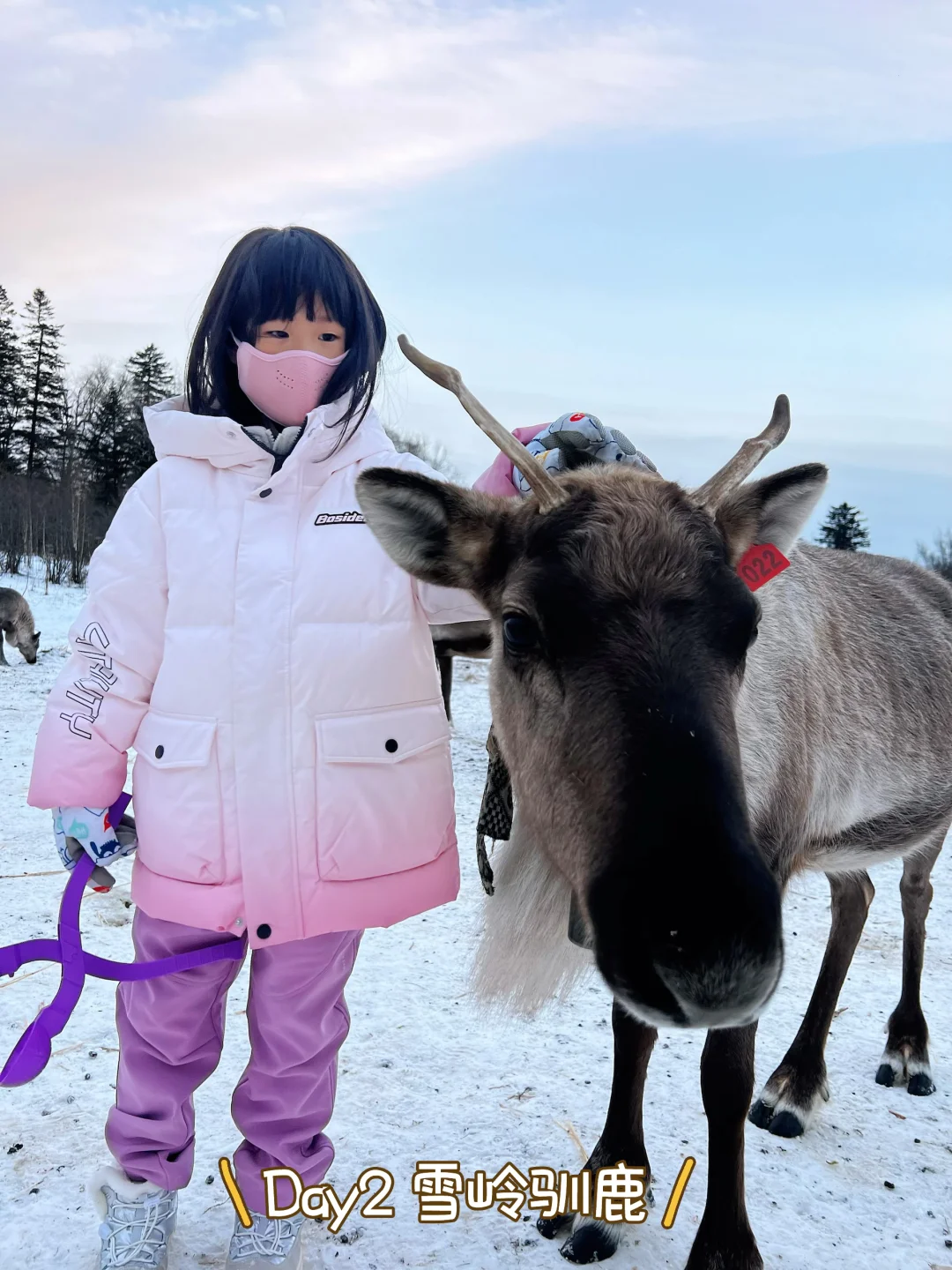 看完再来!长白山4天3晚亲子游亲测精华攻略