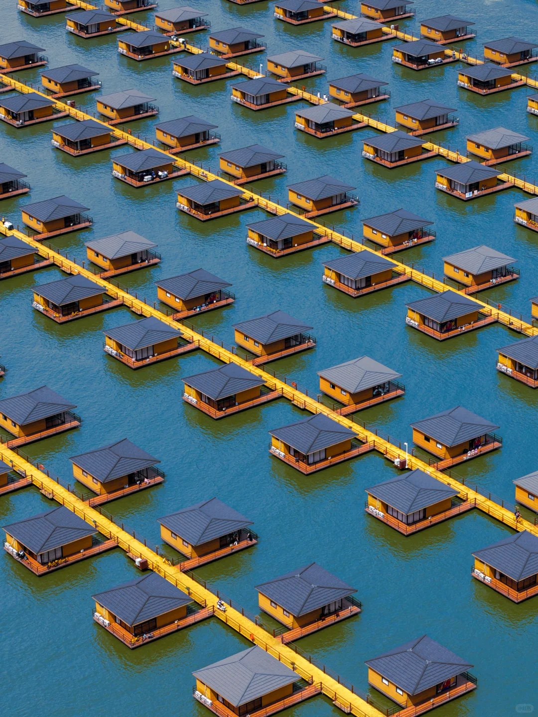 发朋友圈被问爆‼️真不是国外,在河北‼️