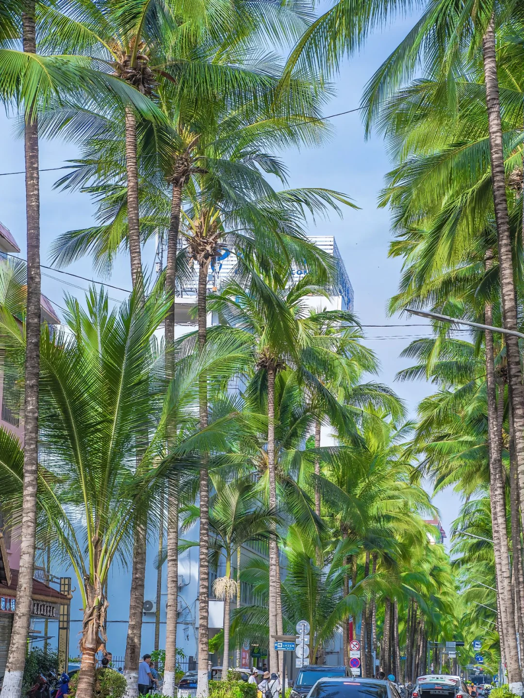 11~12月云南旅游bi备✨纯玩小团指南👭快