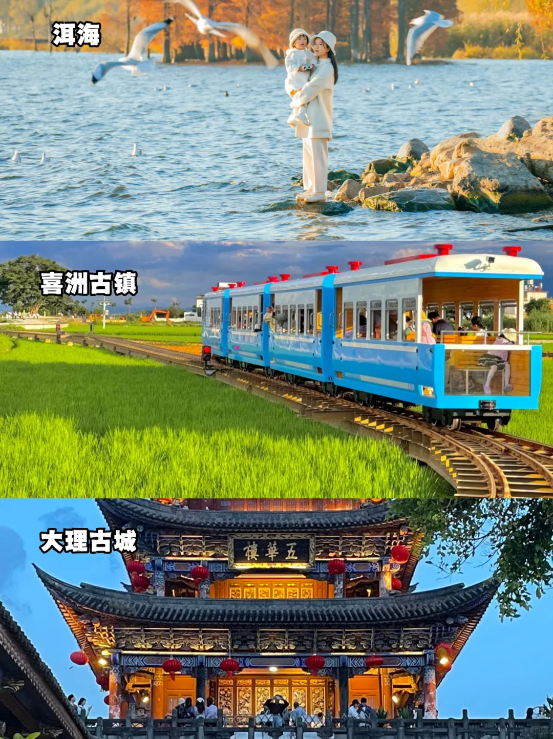 【云南6天5夜私家定制】✨懒人必备攻略！