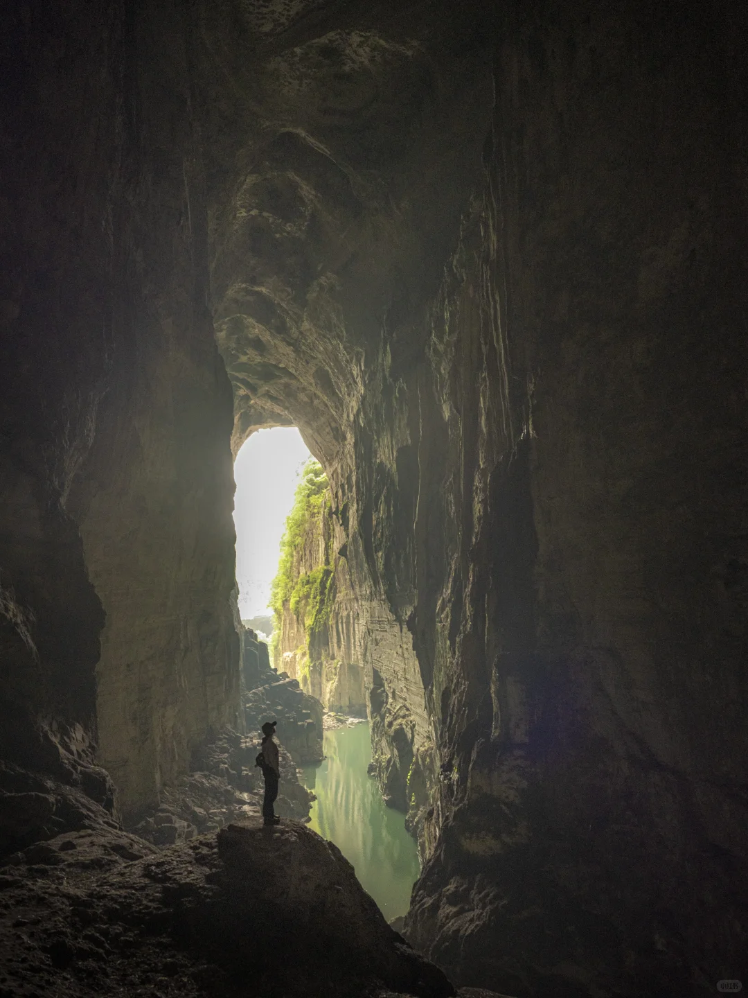 太绝了!寻到了洞中的侏罗纪|穿越时空