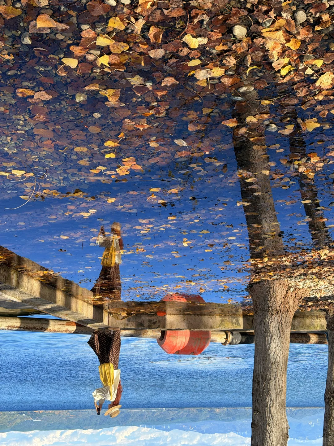 18张live图告诉你云南的秋冬有多美!!!