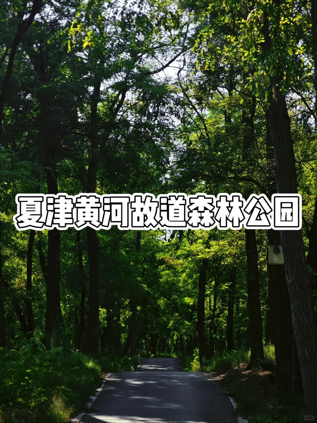 德州旅游,一定要去的9大景点