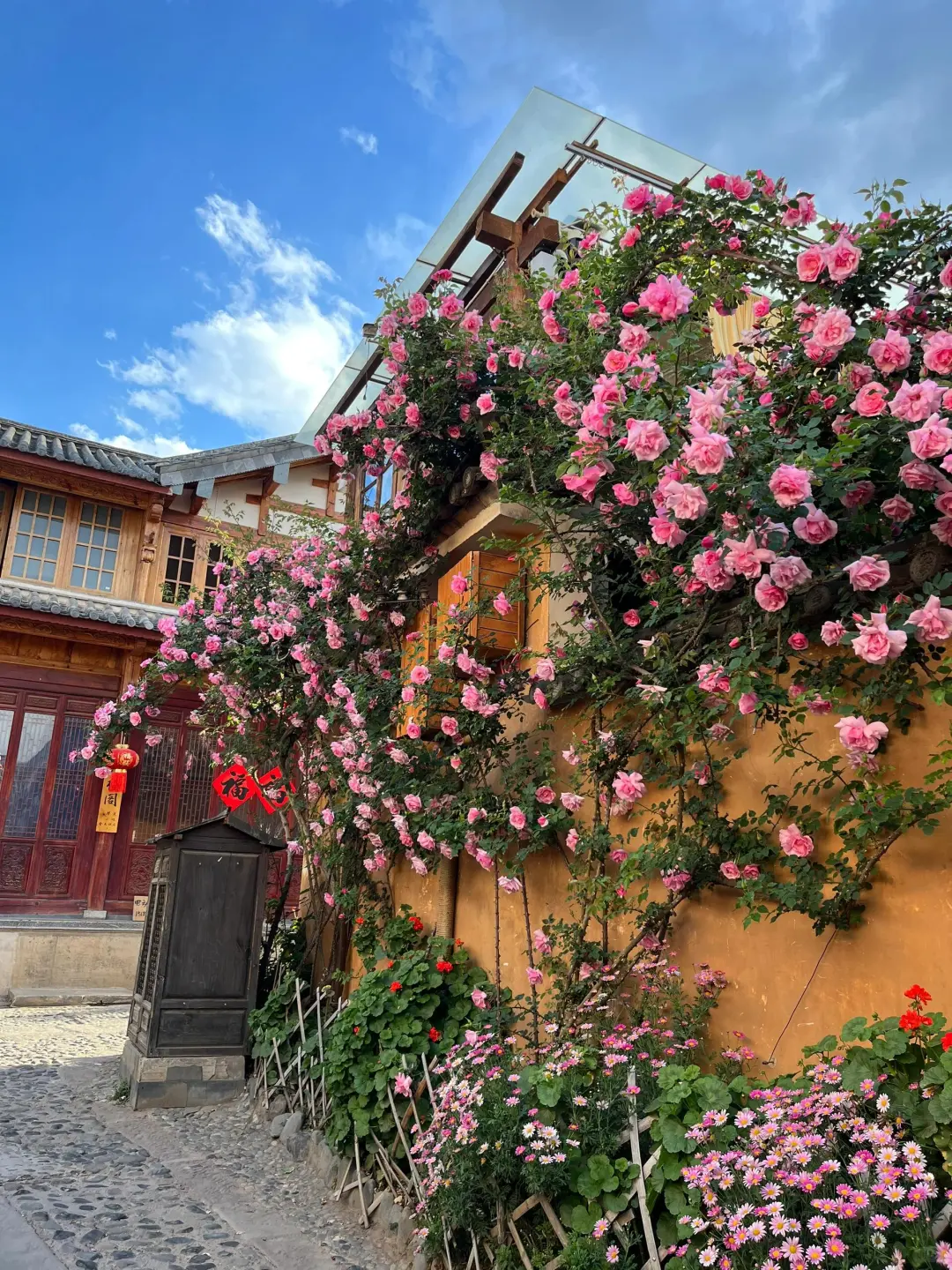 11~12月云南旅游bi备✨纯玩小团指南👭快