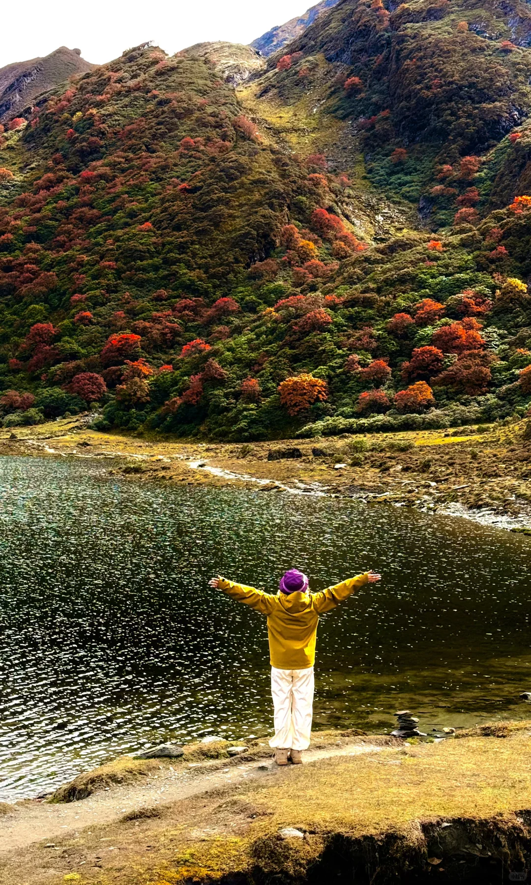 天🦆！！！这是到了天堂吗！！！📍附攻略