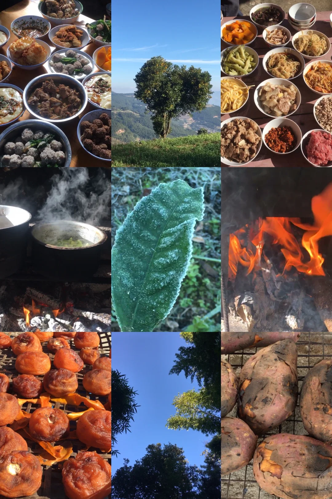 回村的快乐！！！