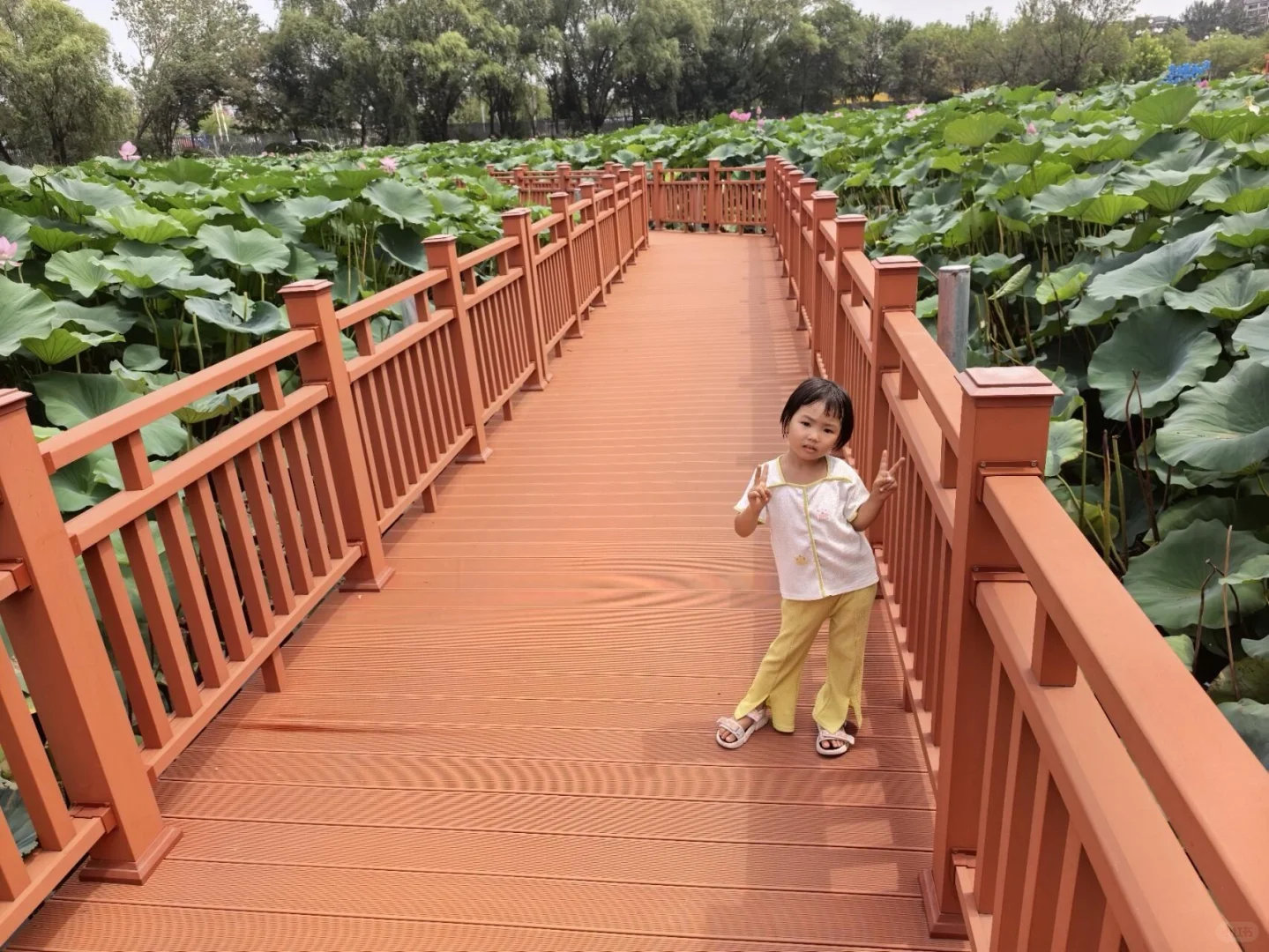 🌿唐山南湖亲子游｜宝藏遛娃地，轻松玩整天！