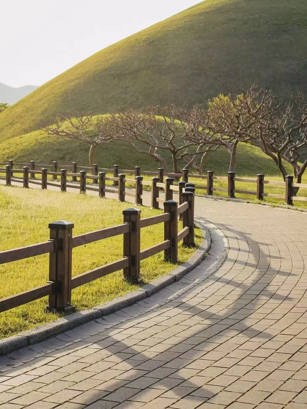 韩国🇰🇷薅羊毛0元庆州一日游攻略