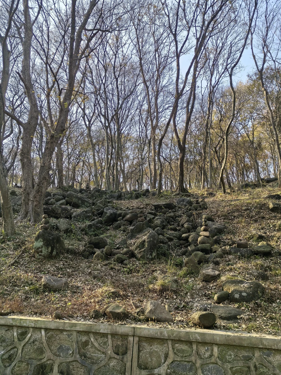 📍深秋止马岭|南京亲子徒步天花板🍁💕