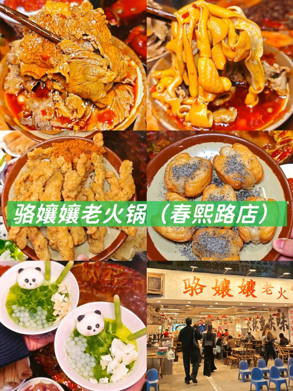 成都！熊猫➕火锅一日游全攻略