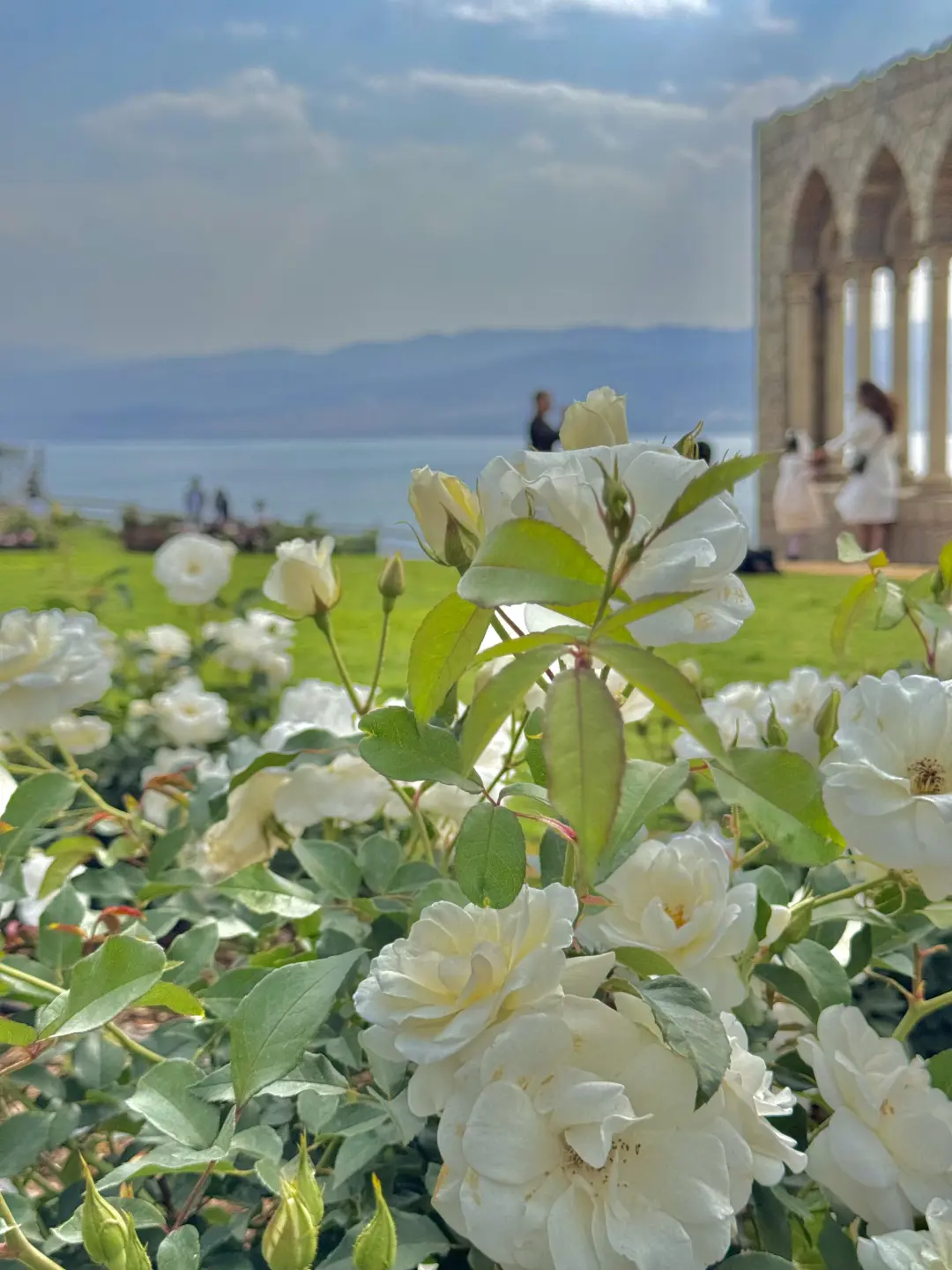 11~12月云南旅游bi备✨纯玩小团指南👭快