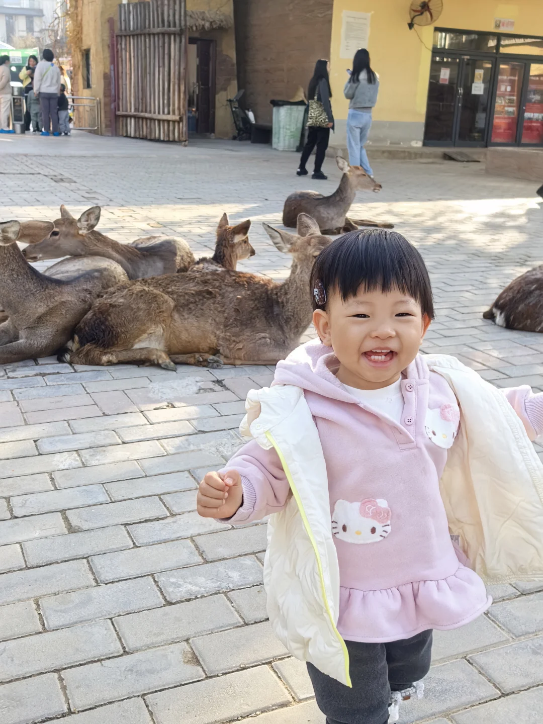 这里真的适合带娃来玩呀!强推