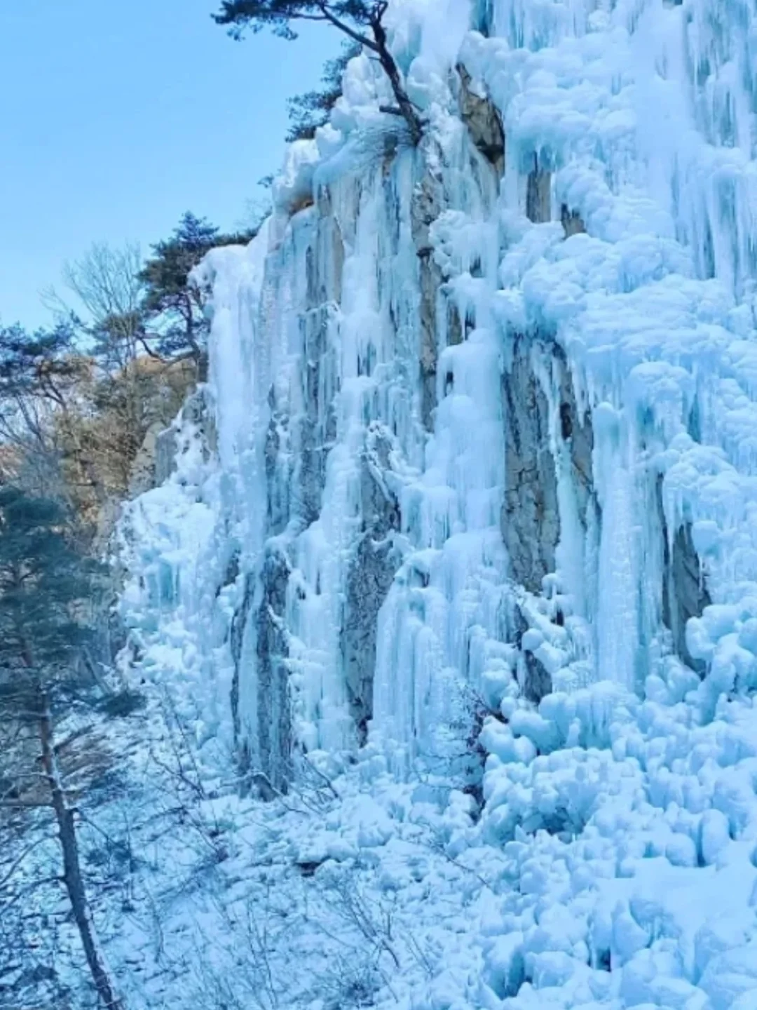 韩国冬季限定3大景点，包车游中韩文司导