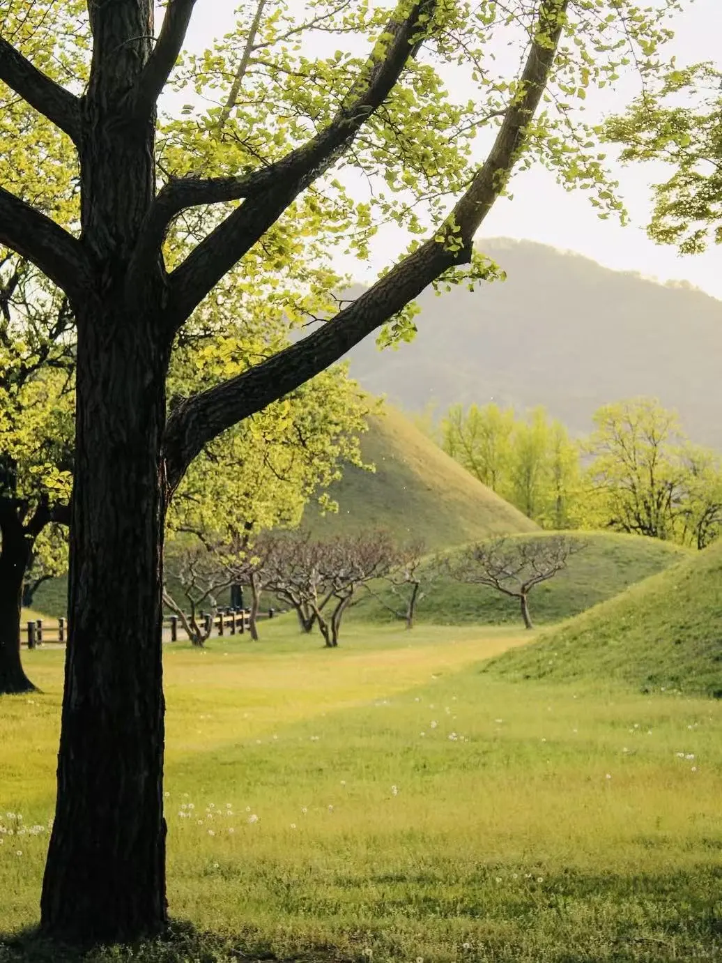 韩国🇰🇷薅羊毛0元庆州一日游攻略