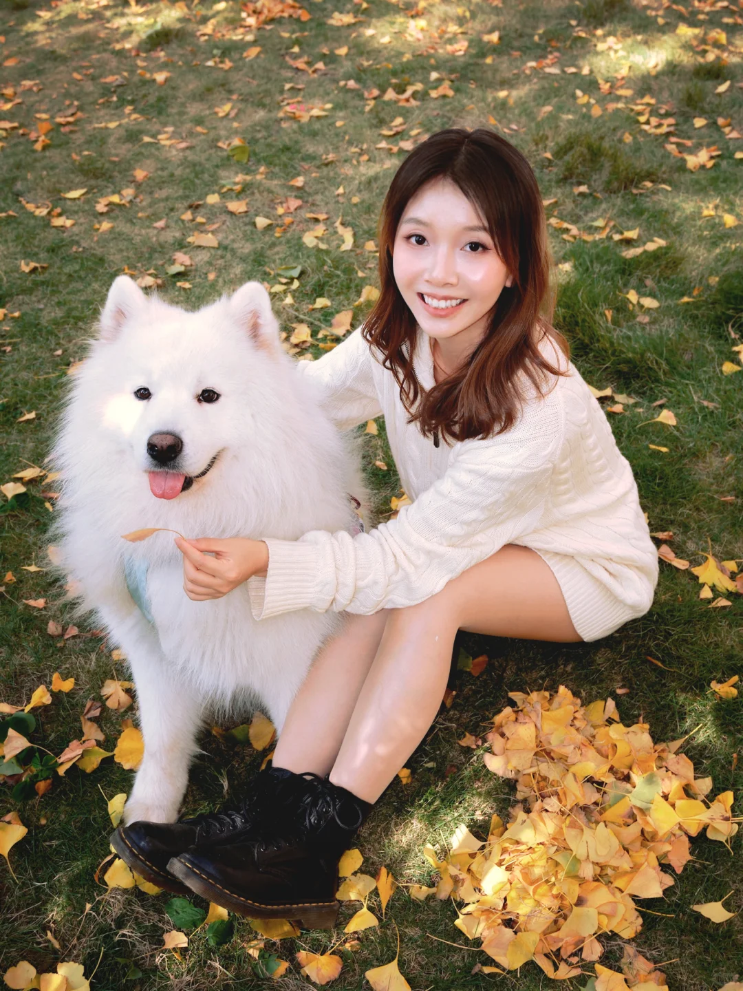 广东带狗游|韶关帽子峰赏银杏叶